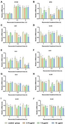 Resveratrol Inhibits Pseudorabies Virus Replication by Targeting IE180 Protein